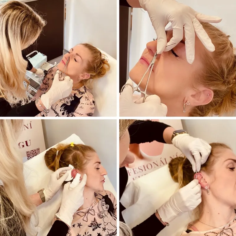 Piercing školení Teplice — Viper Studio