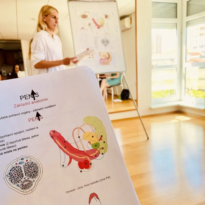 Profesní rozvoj — piercing kurzy