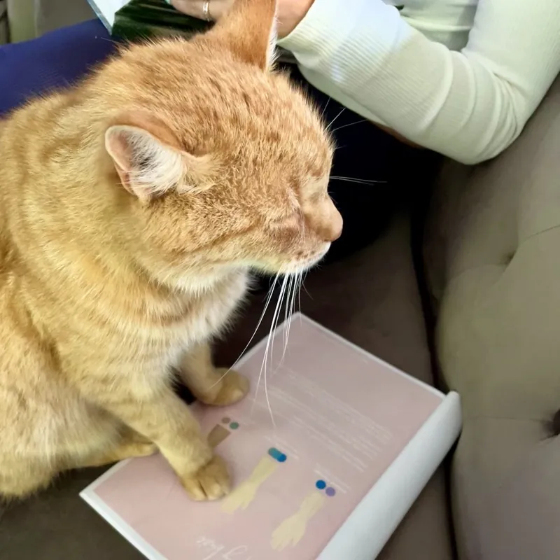 Odborné vzdělávání v piercingu