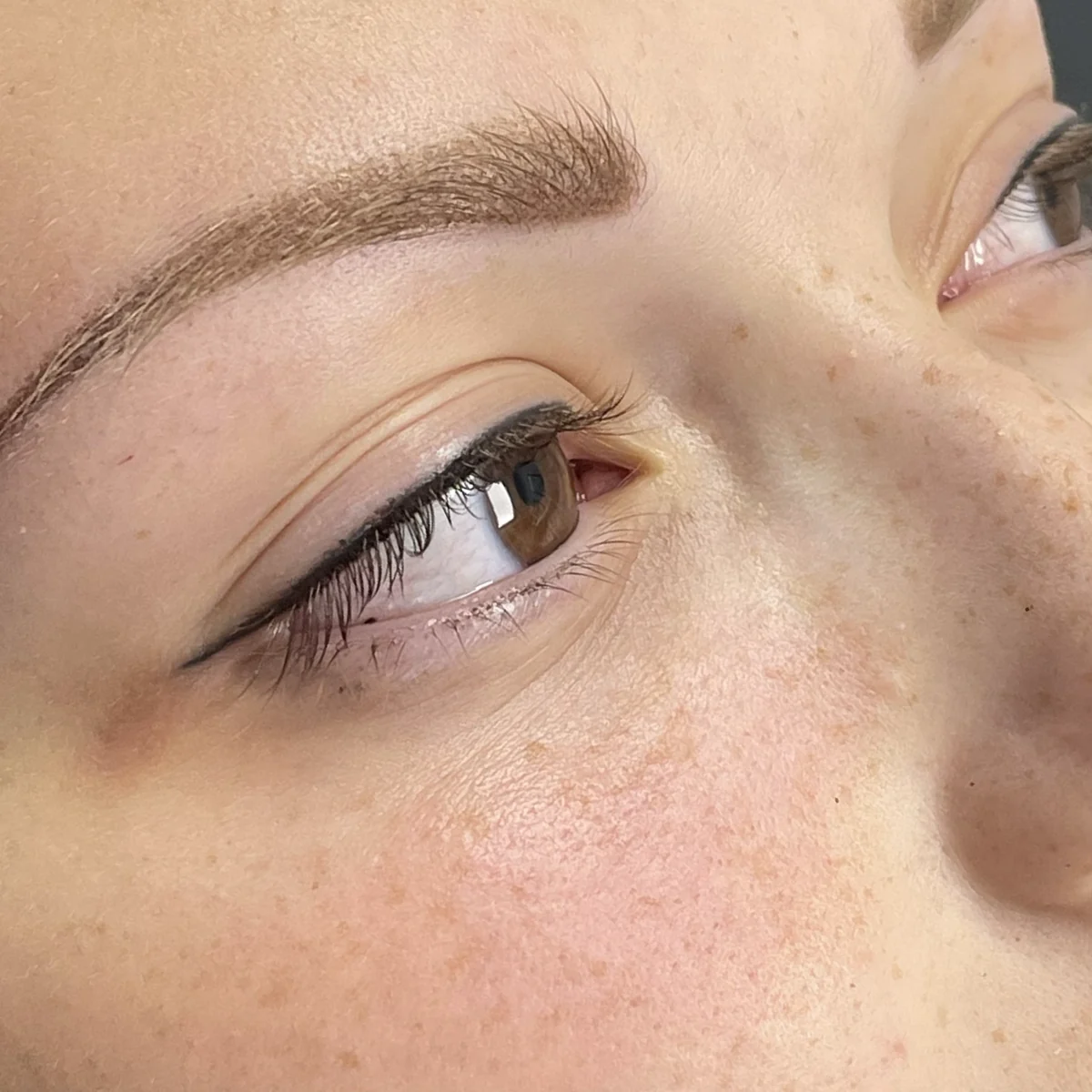 Detail permanentního make-upu obočí a jemné oční linky