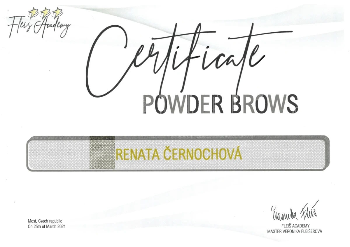 Fleiš Academy — Powder Brows, 2021