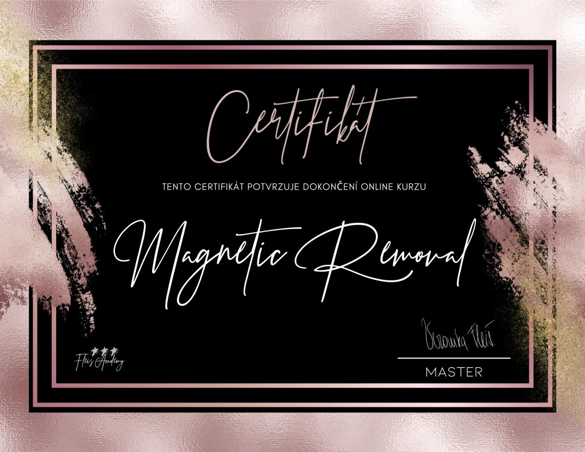 Fleiš Academy — Magnetic Removal, Master